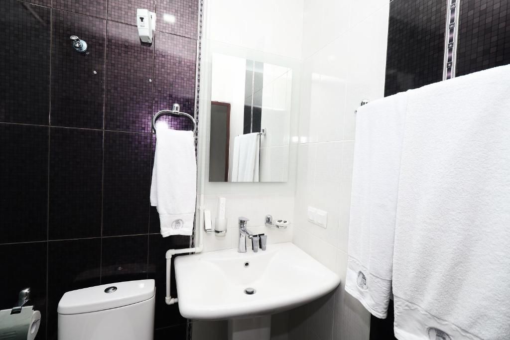 Отель Hotel Tigran Mets Yerevan Ереван-55